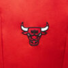 کوله پشتی بسکتبال تارماک TARMAK NBA BULLS-25L- قرمز