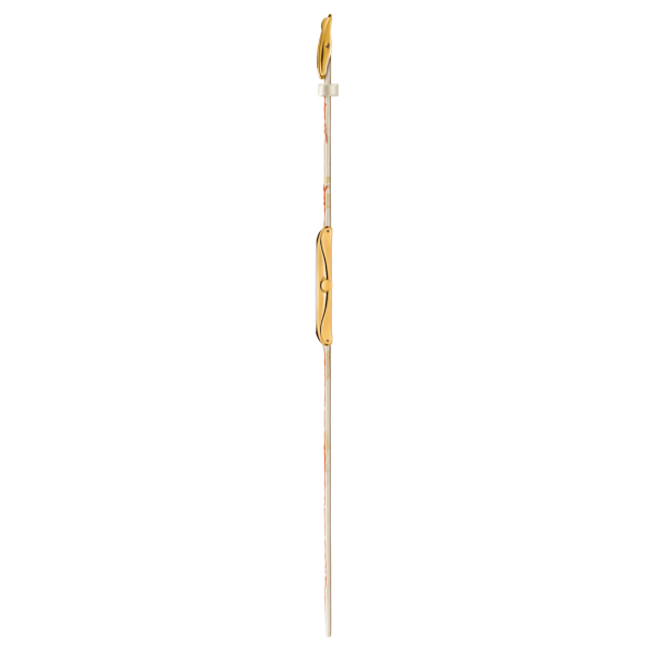 ساعت سواچ مدل (SYXZ105) SWATCH GOLDEN RED BAMBOO - Image 5
