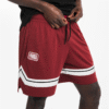 شلوارک بسکتبال دکتلون تارماک -TARMAK Unisex Basketbol SH 900 - قرمز - Image 5