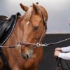 پولوشرت آستین بلند سوارکاری زنانه دکتلون FOUGANZA 500 Polo Long - سفید - تصویر 8