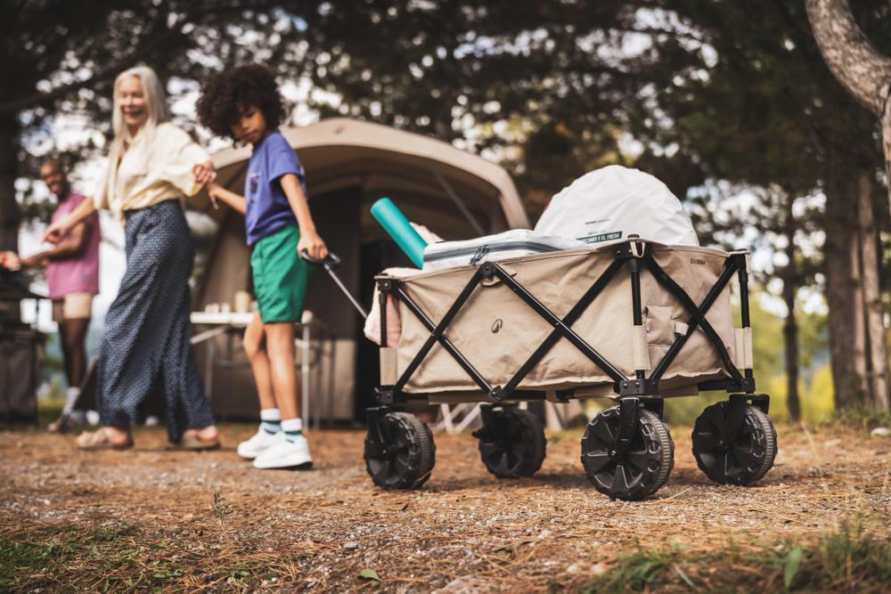 گاری کمپینگ تاشو کچوا Quechua Trolley All Road - خاکستری گاری کمپینگ تاشو کچوا Quechua Trolley All Road - خاکستری - Image 3