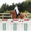 پولوشرت آستین بلند سوارکاری زنانه دکتلون FOUGANZA 500 Polo Long - سفید - تصویر 9