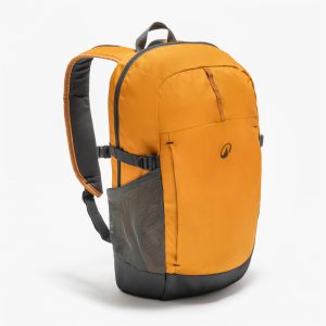 کوله‌پشتی ورزشی Decathlon Arpenaz 100 – قهوه‌ای
